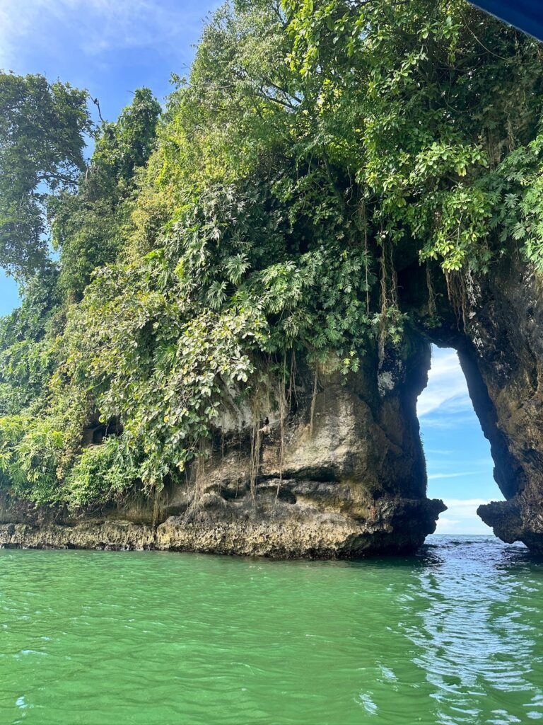 Isla pajaros