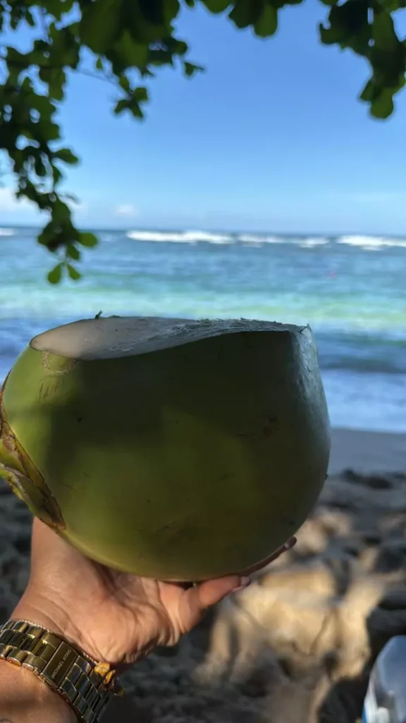 Playa Polo