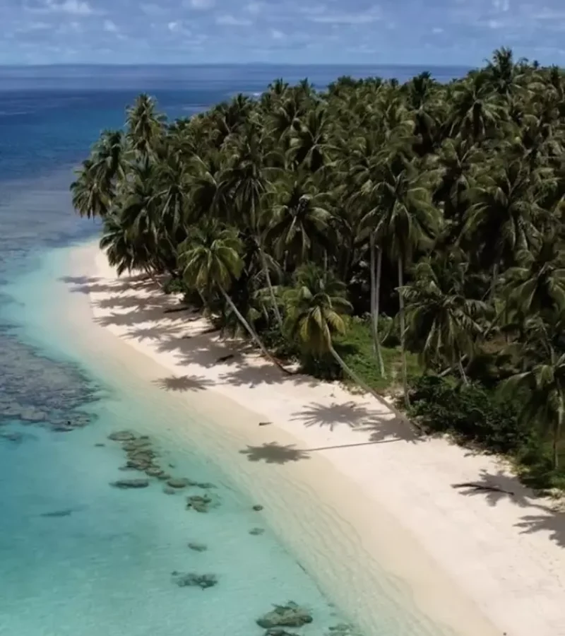 Bocas Destination - 3