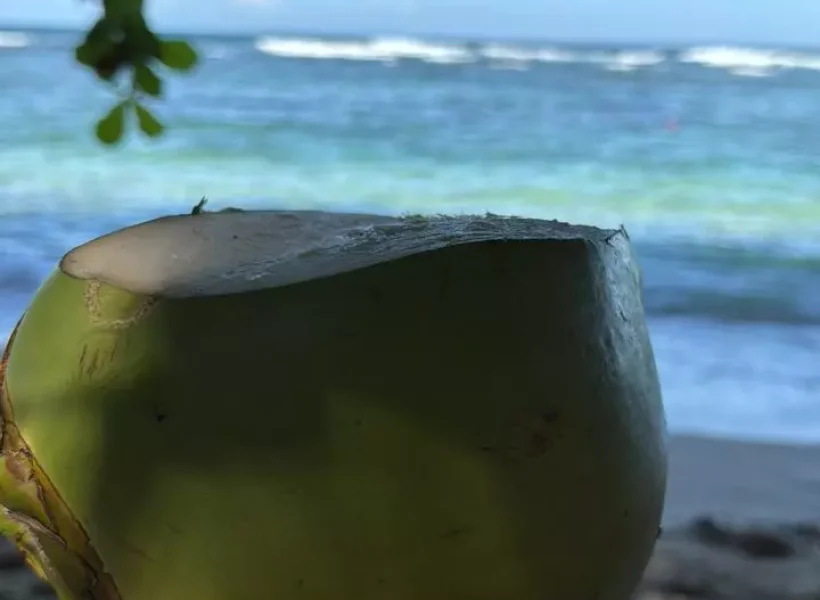 Playa Polo