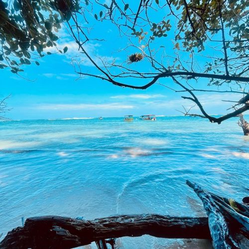 Recorriendo Zapatillas